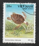 Stamps Vietnam -  868 D - Tortuga