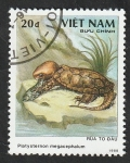 Sellos de Asia - Vietnam -  868 C - Tortuga