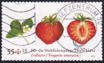 Stamps Germany -  fresa