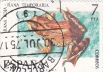 Stamps Spain -  RANA TEMPORARIA (41)