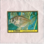 Sellos de Asia - Emiratos rabes Unidos -  Peces