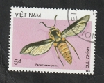 Sellos de Asia - Vietnam -  756 - Insecto