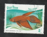 Sellos de Asia - Vietnam -  816 - Pez tropical