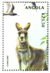Stamps Angola -  KANGURO