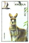 Stamps : Africa : Angola :  KANGURO