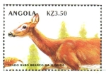 Stamps Angola -  CIERVO  DE  COLA  BLANCA  DE  FLORIDA