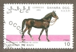 Stamps Morocco -  SC19
