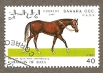 Stamps Morocco -  SC20