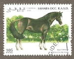 Stamps : Africa : Morocco :  SC22