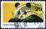 Sellos del Mundo : America : Estados_Unidos : Panda Gigante