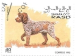 Stamps Morocco -  perros