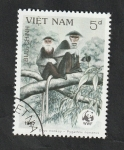 Sellos de Asia - Vietnam -  804 - Monos