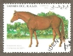 Stamps Morocco -  SC25