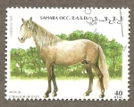 Stamps Morocco -  SC26