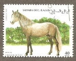 Sellos de Africa - Marruecos -  SC26