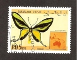 Stamps : Africa : Morocco :  SC35