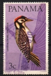 Stamps Panama -  PÁJARO  CARPINTERO  CORONADO  ROJO