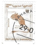 Stamps Morocco -  fauna