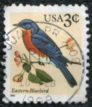 Stamps : America : United_States :  Pajaro Azul