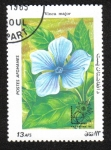 Stamps Afghanistan -  Exposición Internacional de Sellos ARGENTINA '85, Buenos Aires