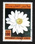 Stamps Afghanistan -  Plantas Acuáticas