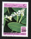 Stamps : Asia : Afghanistan :  Plantas Acuáticas