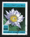 Stamps Afghanistan -  Plantas Acuáticas