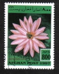 Stamps Afghanistan -  Plantas Acuáticas