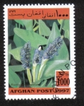 Stamps Afghanistan -  Plantas Acuáticas