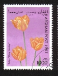 Stamps Afghanistan -  Tulipanes