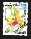 Stamps Afghanistan -  Orquídeas