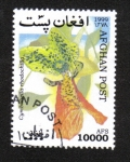 Stamps Afghanistan -  Orquídeas