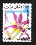 Stamps Afghanistan -  Orquídeas