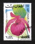 Stamps Afghanistan -  Orquídeas