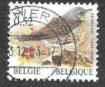 Stamps Belgium -  1839 - Zorzal Real