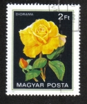 Stamps Hungary -  Rosa