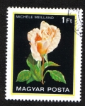 Stamps Hungary -  Rosa