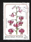Stamps Hungary -  Lilium