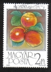 Stamps Hungary -  Frutas, Duraznos