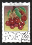 Stamps Hungary -  Frutas, Cerezas