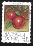 Stamps Hungary -  Futas, Manzanas