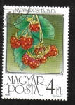 Stamps Hungary -  Frutas,Frambuesas 