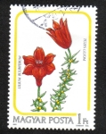 Stamps Hungary -  Flores, Lilium bulbiferum
