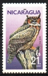 Stamps Nicaragua -  BUHO  REAL