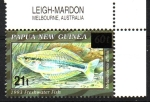Stamps Oceania - Papua New Guinea -  MELANOTAENIA  AFFINIS