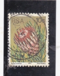 Stamps South Africa -  CAPTUS-PROTEA ARISTATA