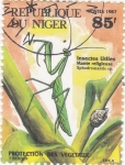 Stamps : Africa : Niger :  INSECTO MANTIS RELIGIOSA