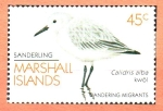 Stamps Oceania - Marshall Islands -  AVES.  CALIDRIS  ALBA.