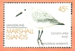 Sellos de Oceania - Islas Marshall -  AVES.  CALIDRIS  ALBA.