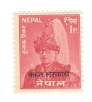 Sellos de Asia - Nepal -  Rey Mahendra